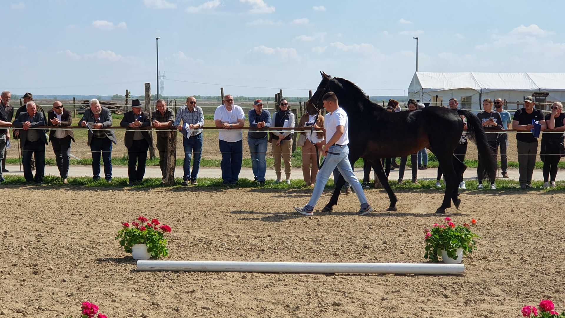 Furioso rendezvény7.jpg
